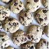 Wilderness Poets Oregon Blueberries (Sweetened with Apples) - Whole, Dried,