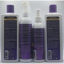 Every Strand 4PC Every Strand No More Frizz Shampoo Conditioner + Smooth Serum & Leave in Set