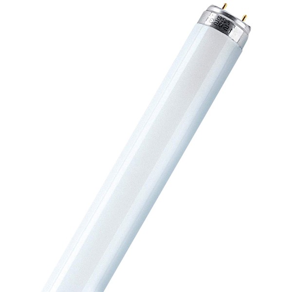 Osram 959065 - L 16W/830 Straight T8 Fluorescent Tube Light Bulb