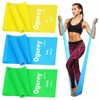 Resistance Bands, Professional Exercise Bands, Physical Therapy Bands for Strength