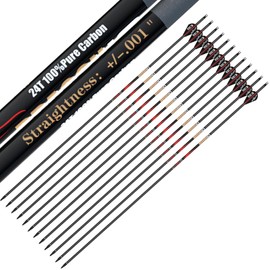 sanlida Archery 100% Pure Carbon Arrows, Dragon 10 Flagship Carbon Hunting Arrows for Compound Bow and Recurve Bow, Professional Standard Hunting Arrows Pack of 12 (+/-.001" Straightness, 300 Spine)