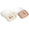 Skater FCN2WAG-A Sealing Container, 16.9 fl oz (500 ml), 2