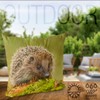 VOID Hedgehog Moss Forest Animal Cushion Cover Polyester Decoration Easter
