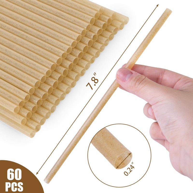 HANSGO 60PCS Sugarcane Straws, 7.8 Inch Drinking Straws Bulk Sturdy
