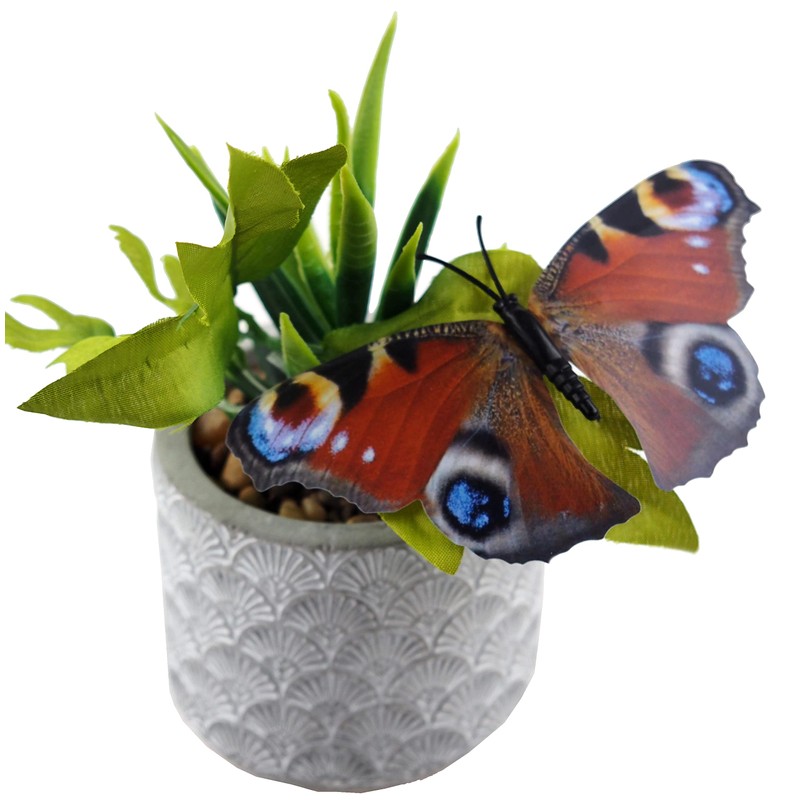 BWG Garden Clip On Butterflies - Plastic 13cm Wing (Set