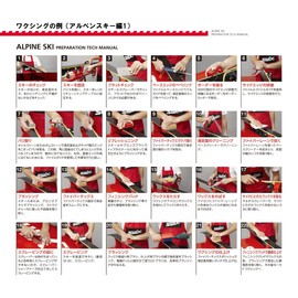 Swix T161SB Nylon Small Rectangular Brush,Red,T01