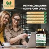 Royal Oak Health Vitamin B12 Sublingual Methylcobalamin B12, Active Form