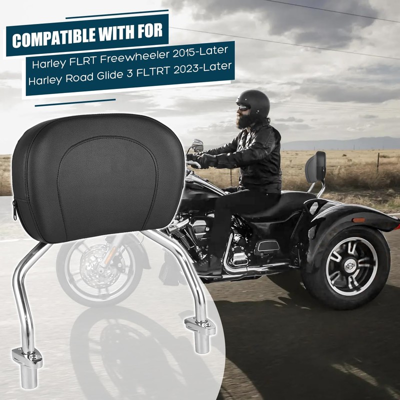 DSISIMO Detachable Passenger Backrest Sissy Bar With Back Rest Pad