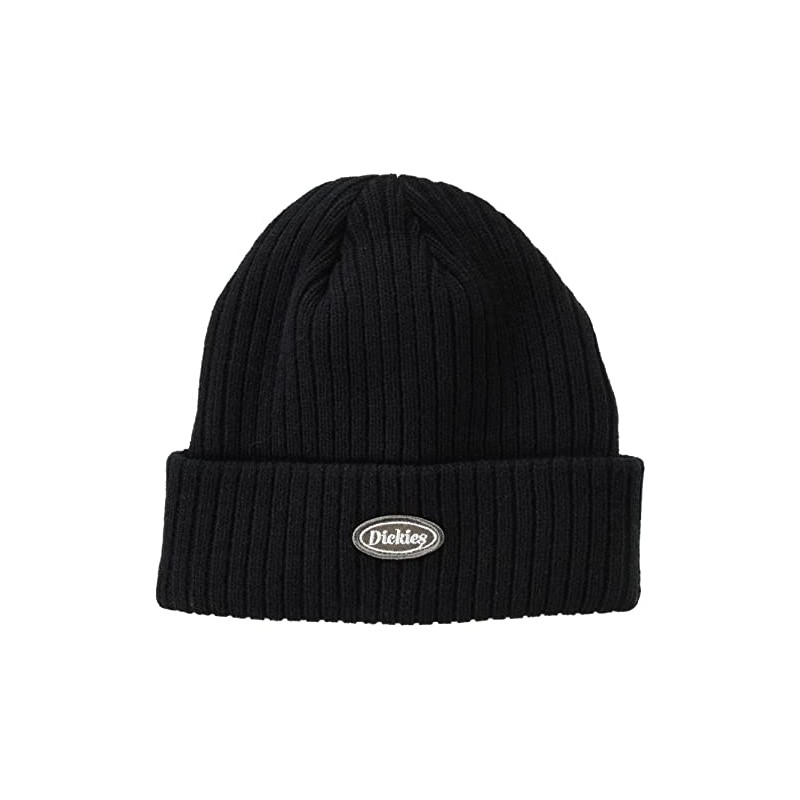 Dickies Logo Appen Knit Cap Beanie, Black
