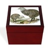 CafePress Great Spotted Kiwi Apteryx Haasti Memory Keepsake Jewelry Box,