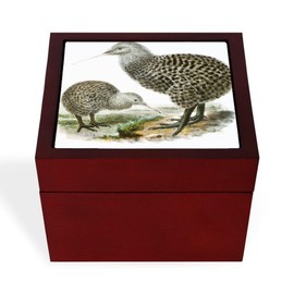 CafePress Great Spotted Kiwi Apteryx Haasti Memory Keepsake Jewelry Box, 5"x5"x3.75"