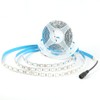 Velainic 24V LED Strip Light White 6000-6500K,16.4ft/5M Waterproof IP65 Outdoor