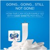 Scott Regular Roll Toilet Tissue, 1 Ply, White, 8 Rolls