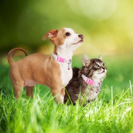 Dog Collar with Bell for Small Dogs, Pretty Pink Floral Cat Collar Flower Female Puppy Collars for XS Small Tiny Little Girl Pet Dogs, White S