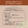 anomaプロテイン チョコレート 600g 人工甘料不使用 えんどう豆使用 ピープロテイン BCAA アルギニン 高級