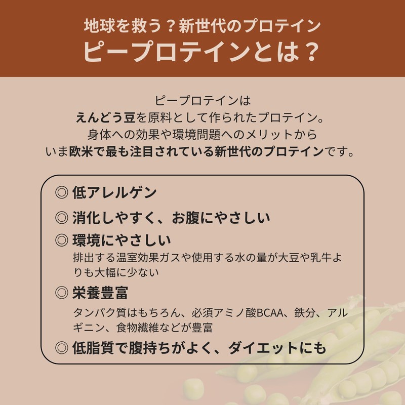 anomaプロテイン チョコレート 600g 人工甘料不使用 えんどう豆使用 ピープロテイン BCAA アルギニン 高級