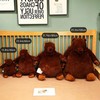 Djungelskog Bear 31.5 Inch - Soft and Giant Bear -