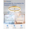 ZMISHIBO Low Profile Ceiling Fans with Lights and Remote, 20