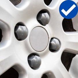 Wheel Bolt and Nut Caps Set, 21 Pieces, for 21 mm Hex Bolts and Nuts, Minimum Diameter 28 mm Rims Screw Hole, Wheel Nut Caps in Glossy Grey, 1 x Tool, Wheel Bolt Cover
