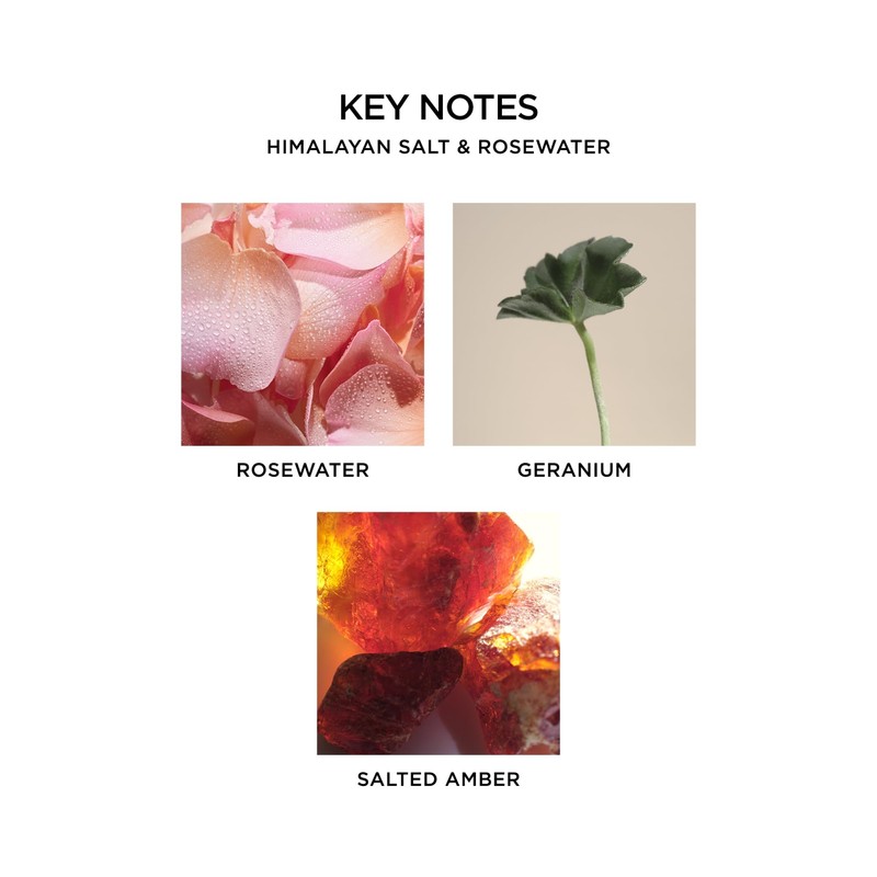 NEST New York Reed Diffuser Liquid Refill, Himalayan Salt &