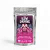 Glowshroooms Mushroom Gummies with Tremella Berry 60 Count
