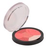 Sedell Multi Blush Powder-03, Multicolor, 8 g