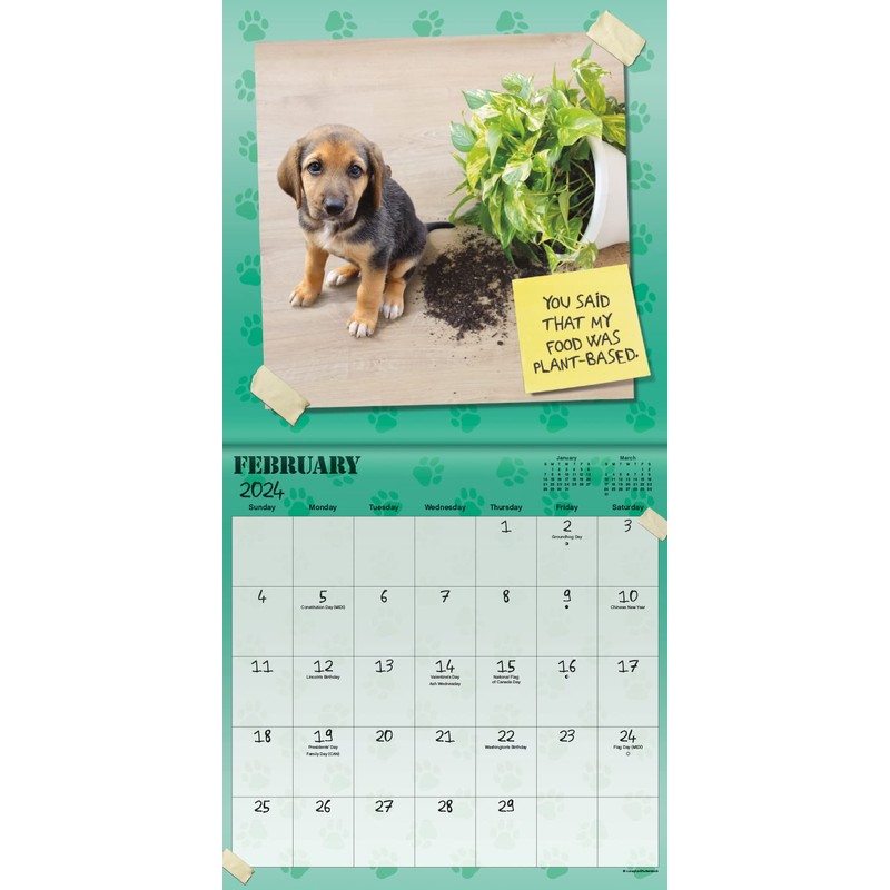 2024 Guilty Dog Mini Wall Calendar