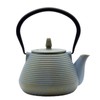SECHUDO Teapot with Stainless Steel Infuser for Loose Tea, Cast