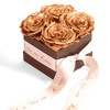 Infinity Rose Box 4 Real Roses Preserved Golden Wedding Gift