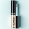 Anjumain The Saem Cover Perfection Tip Concealer 6.5g, rich beige, 2 pcs. / 더샘 커버 퍼펙션 팁 컨실러 6.5g, 리치 베이지, 2개
