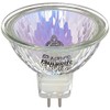 Bulbrite 10MR16NF 10-Watt 12-Volt Halogen MR16 Bi-Pin, Narrow Flood