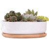 WEIYON-6.29 inchSucculent Planter Ceramic with Bamboo Tray, Modern White Ceramic
