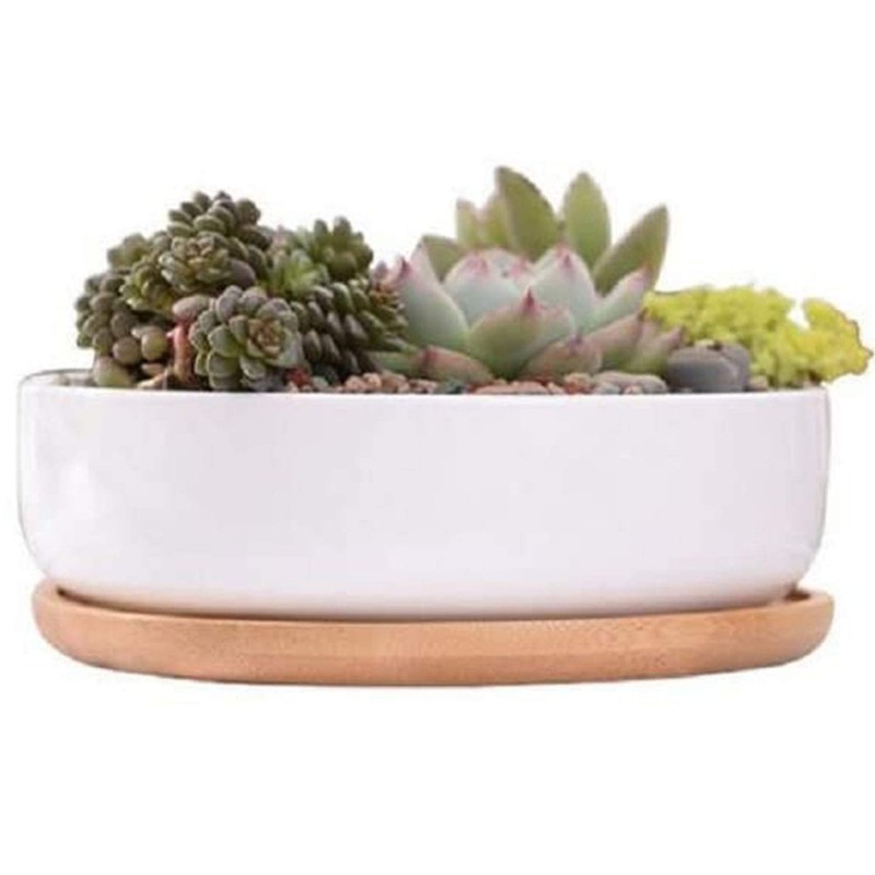 WEIYON-6.29 inchSucculent Planter Ceramic with Bamboo Tray, Modern White Ceramic