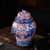 SILINE Porcelain Airtight Canister 45 Oz/1350ml, Blue White with Red
