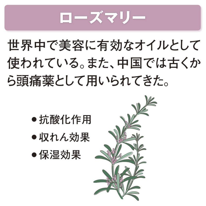 SUPER MiLD Conditioner, Refill Treatment, 3.3 fl oz (1 L)