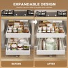 Seinloes 2 Pack Pull out Cabinet Organizer 21" Deep With