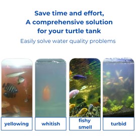 PurrrfectionPet 2 Packs Turtle Feeding Ring with Suction Cup and Nitrifying Balls Fish Food Holder Aquatic Toys for Turtles Tortoise Goldfish Guppy Koi Puffer Turtle Tank Accessories (Square & Circle)