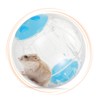 Hamster Ball Transparent Roller Fitness Exercise Rotating Wheel Color Cover