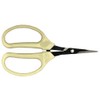 ARS SS-320BT Cultivation Scissors, Straight Carbon Tool Ste