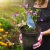 HEEPDD Soil Moisture Sensor Meter with Bird Design, Plant Watering