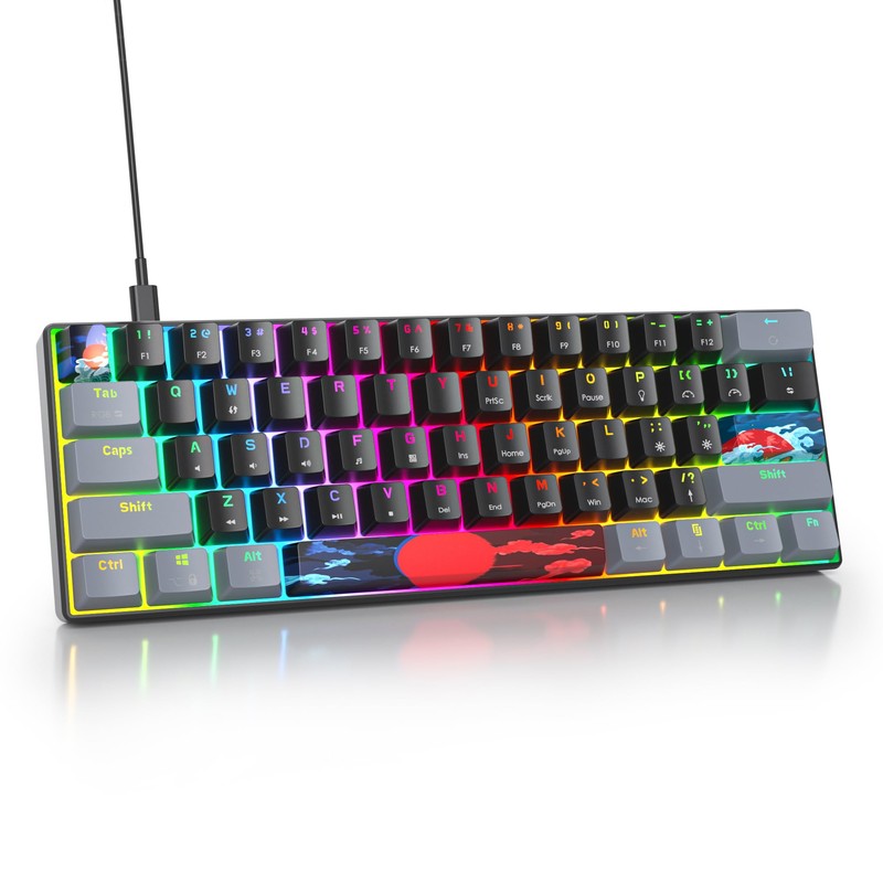 Owpkeenthy Wired 60% Percent Mechanical Gaming Keyboard with Blue Switch