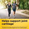 Nature Made Glucosamine Chondroitin Complex with MSM, Supplement for Joint