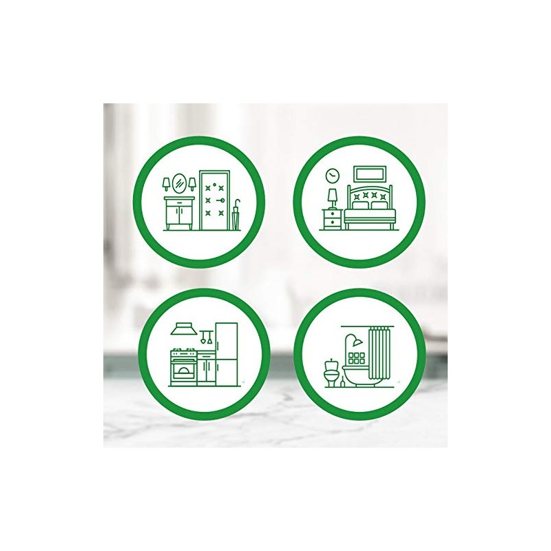 Air Wick Freshmatic Max Air Freshener Refill Day at the