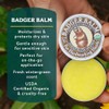 Badger Healing Balm - 2oz - 2 Pack
