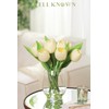 WELL KNOWN WELL KNOWN 12 Pcs Tulips Artificial Flowers in