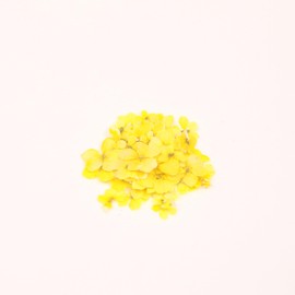 1 Boxes 50 pcs Nail Drying Flower, DIY, 3D Nail Art, Plant Theme, Irregular Shape, Flower Stickers Suitable for Care and Small Natural Nail Decoration, Accessories. (Miami Lemon Yellow)