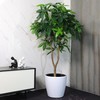 Dexceder 13x12 Self Watering Planter with Wheels Indoor Outdoor, Inner