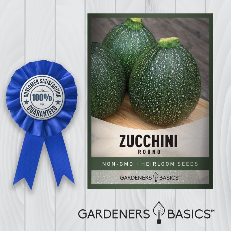 Round Zucchini Seeds for Planting Heirloom, Non-GMO Vegetable Summer Squash