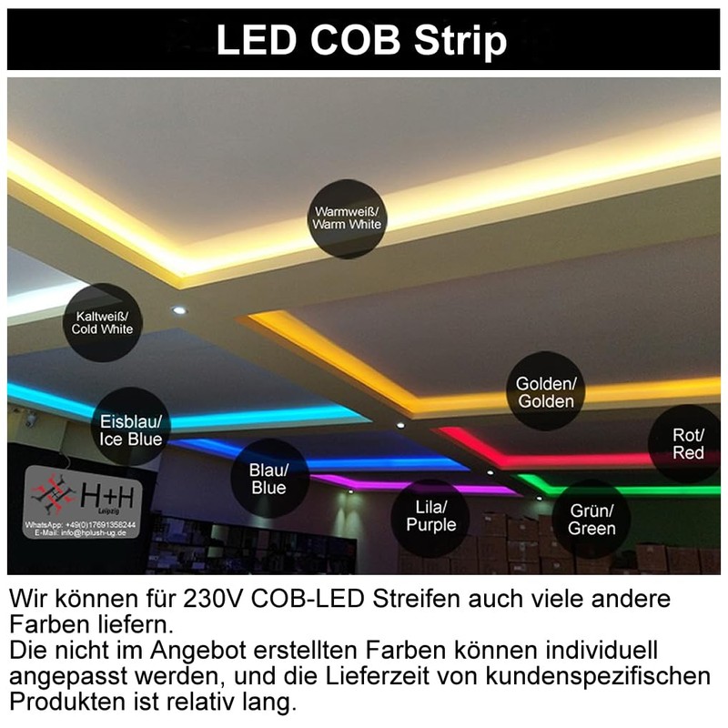 H+H Leipzig LED COB Strip (Partial Possibility of All 10