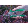 Dramm Bypass Pruner, Cut up to 5/8-inch in diameter, Stainless